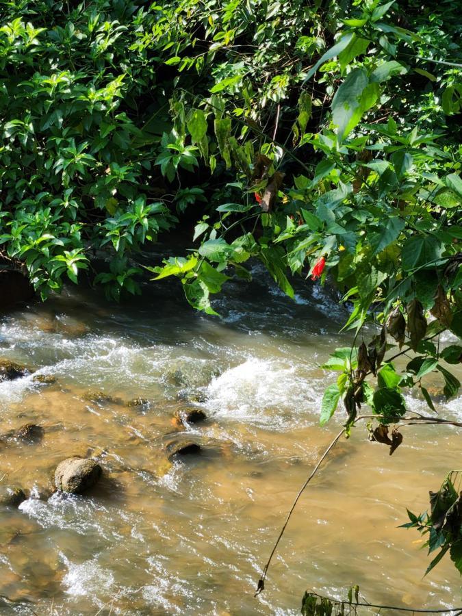Hospedaria E Camping Quintal Do Mundo Lumiar Ngoại thất bức ảnh